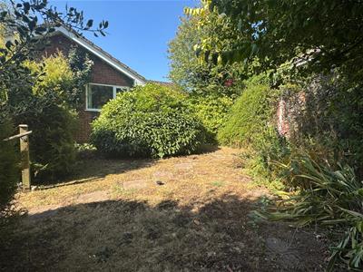 Picture 19
